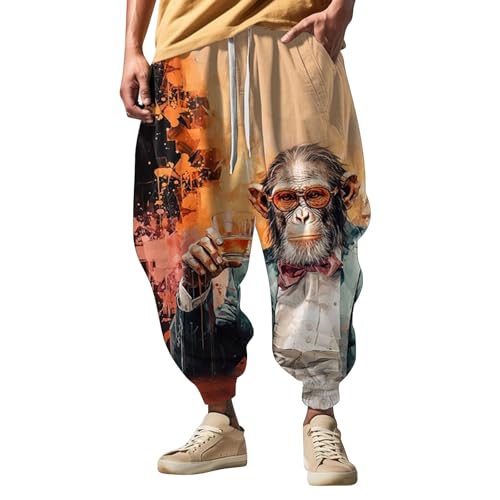Generisch Haremshose Herren I Streetwear I Trainingshose mit 3D-Druck I Mode Männer Aladinhose I Pluderhose I Yogahose I Bequeme und vielseitig einsetzbare Pumphose I Baggy Hose von Generisch