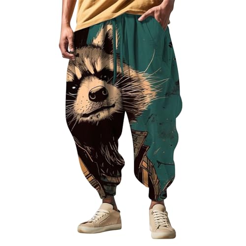 Generisch Haremshose Herren I Streetwear I Trainingshose mit 3D-Druck I Mode Männer Aladinhose I Pluderhose I Yogahose I Bequeme und vielseitig einsetzbare Pumphose I Baggy Hose von Generisch