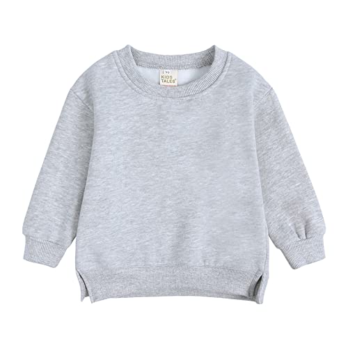 Generisch Kinder Langarm Sweatshirt Jungen Mädchen Pullover Sweatshirts Einfarbig Lose Lässig Basic Fleece Tops Bequem Streetwear HerbstWinter Langarmshirt Pulli Oberteile (Grey, 3-4 Years) von Generisch