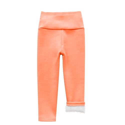 Generisch Leggings Warm Thermoleggings Mädchen Hosen Winterhose Kinder Freizeithose Kuschelhose Bequem Thermohose Elastischer Bund Sweathose Weiche Fleecehose Sportskort Orange, 8 Jahre von Generisch