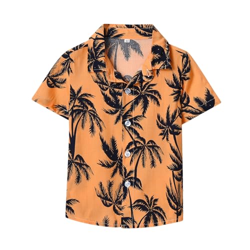 Generisch Orange Hawaii Hemd Jungen 140 Sommerhemd Kurzarm Revers Hawaiihemd Tropenmuster Kurzarmhemden Baumwolle Sommer Oberteile Boy Freizeithemden Kleinkind Bügelfreie Hemdjacke von Generisch