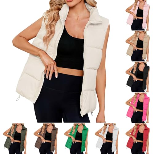 Generisch Prime to Day 2024 Wann Steppweste Damen Winter Stehkragen Daunenweste Thermal Ärmellos Winterjacke Einfarbig Übergangsjacke Wintermantel Steppjacke Steppmantel Winterweste Freizeit Generisch Prime to Day 2024 Wann Steppweste Damen Winter Stehkragen Daunenweste Thermal Ärmellos Winterjacke Einfarbig Übergangsjacke Wintermantel Steppjacke Steppmantel Winterweste Freizeit von Generisch