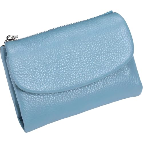 Generisch Relevantk Wallet, Joyfullygo Wallet, Unisex Pebble Leather Wallets, Women's 5.3in Short Billfolds, Soft Unisex Wallets Coin Card Holder for Women, Anti-Theft Organizers (Flax Blue) von Generisch