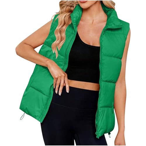 Geschenke für Frauen Steppweste Damen Winter Stehkragen Daunenweste Thermal Ärmellos Winterjacke Einfarbig Übergangsjacke Wintermantel Steppjacke Steppmantel Winterweste Freizeit von Generisch