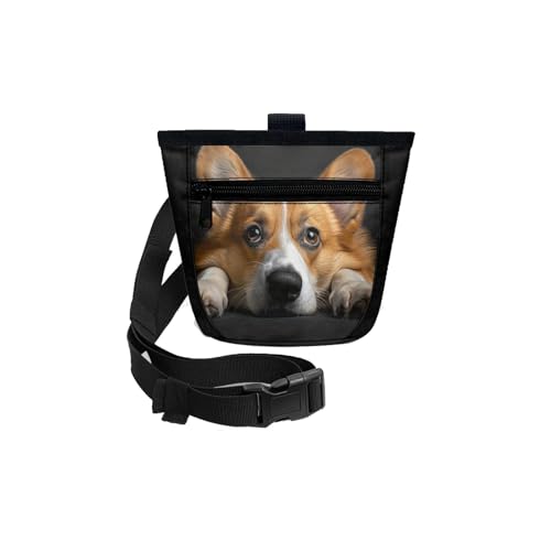Gürteltasche aus Leder für Männer und Frauen, Haustier-Training, Hüfttasche, Outdoor-Hundetraining, Hundesnack-Tasche, multifunktionaler Rucksack, Wandern, Hüfttasche für Damen, mit Wasserflaschen, D, von Generisch