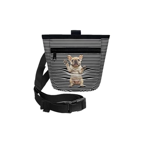 Gürteltasche aus Leder für Männer und Frauen, Haustier-Training, Hüfttasche, Outdoor-Hundetraining, Hundesnack-Tasche, multifunktionaler Rucksack, Wandern, Hüfttasche für Damen, mit Wasserflaschen, B, von Generisch