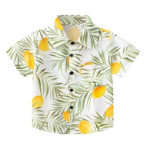 Hawaii Hemd Kinder 116 Baumwolle Hemd Baby Gelb Kurzarm Revers Kurzarmhemden Button Down Hemdbluse Freizeithemd Kleinkind Hawaiihemd Junge Sommer Strandhemd Tropenmuster Hemdjacke von Generisch