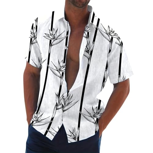 Hemd Herren Kurzarm, Langarm Und Sommerhemd Freizeithemd Button Down Shirts for Männer Leichtes Schwarz Polo Tshirt Kurzarm Regular Fit Leinen Hemden Kurz 1 von Generisch