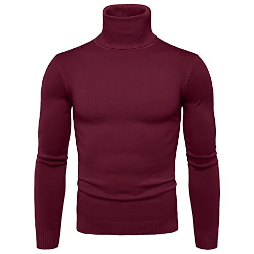 Herren Rollkragenshirt Langarm,Herren Longsleeve Rollkragenpullover Regular Fit Langarmshirts Rollkragen Pullover Baumwolle Sweatshirt Elastisch Einfarbig von Generisch