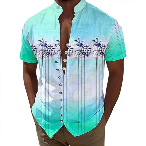 Herren Sommerhemd Kurzarm Leicht Strand Henley Hemd mit Stehkragen Freizeithemd Bluse Hawaiihemd Funky Hawaiihemd Herren Kurzarmhemd mit stilvollen Flamingos Früchten, mintgrün, 6XL von Generisch