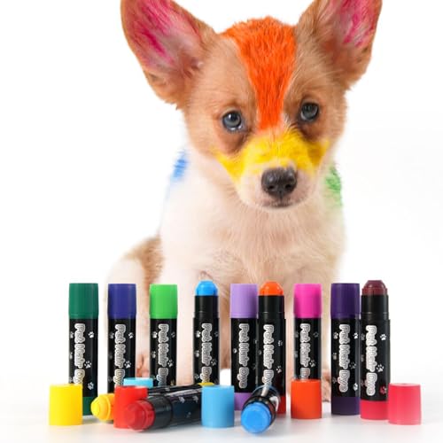 Hundefarbe | Temporäre Tierhaarfarbe | Abwaschbare Ungiftige Farbe Für Kreative Gestaltung Von Hunden, Katzen, Pferden & Tieren von Generisch