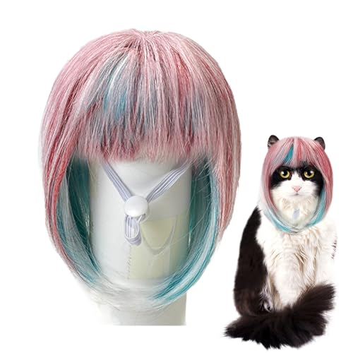 Katzen-Rollenspiel-Perücke, blau-rosa Perücke, für Cosplay, Halloween, Weihnachten, Maskerade, Rollenspiel, Hundewelpe, Kopfbedeckung, Spielzeug für Reisen, Versammlungen, Bühne von Generisch