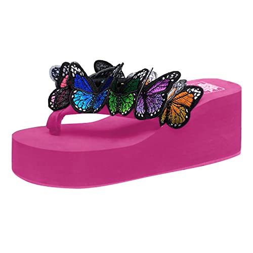 Laufschuhe Floral Wedges Flip Flops Sandalen Hausschuhe Strandschuhe Sommer Hausschuhe für Damen Flip Flop, B, 39 EU Laufschuhe Floral Wedges Flip Flops Sandalen Hausschuhe Strandschuhe Sommer Hausschuhe für Damen Flip Flop, B, 39 EU von Generisch