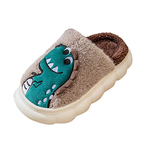 Modischer Herbst-Winter-Herren-Hausschuh, flach, nicht kurz, Plüsch, warm, bequem, Dinosaurier-Muster, Herren-Hausschuhe, B, 40 2/3 EU von Generisch