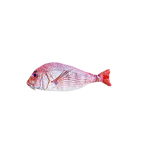 Multifunktionales Federmäppchen mit Niedliches Kreatives Fisch-Imitat-Design Stilvolles Stiftebox für Schule Büro Hochwertiges Staubdichtes Material Leicht zu Reinigen Schreibwarentasche von Generisch