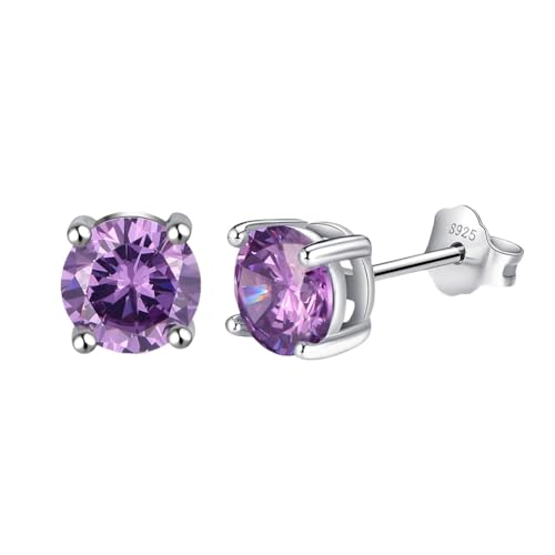 Ohrstecker Aus Sterlingsilber – Ohrstecker mit Violettem Zirkonia Geburtsstein für Februar für Frauen, 12 Sternbilder, Horoskop, Himmlischer Astrologie Schmuck von Generisch