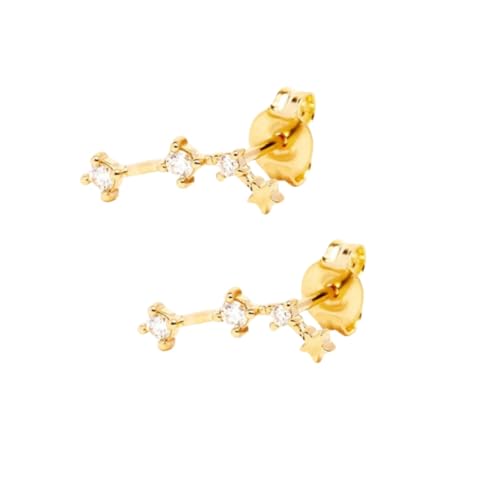 Ohrstecker Widder Aus 925Er Sterlingsilber für Damen, 12 Sternbilder, Sternzeichen Ohrringe mit Zirkonia, Schmuck, Geschenke für Frauen, Mädchen, Töchter von Generisch