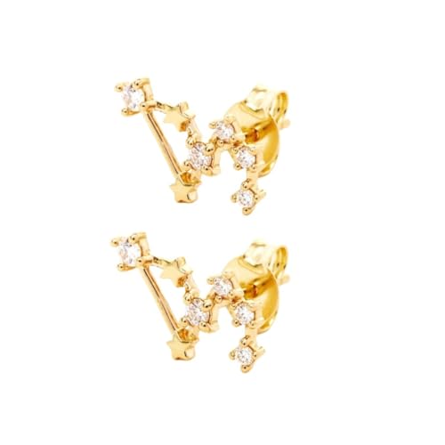 Ohrstecker für Damen Im Löwe Design Aus 925Er Sterlingsilber, 12 Sternbilder, Sternzeichen Ohrringe mit Zirkonia, Schmuck, Geschenke für Frauen, Mädchen, Töchter von Generisch