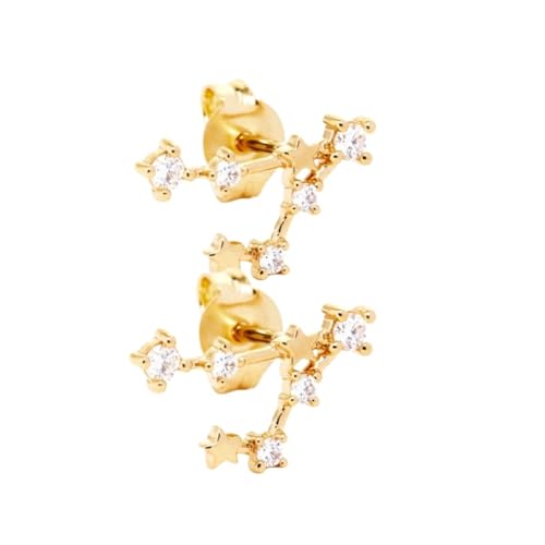 Ohrstecker für Frauen Im Sternbild Fische Aus 925Er Sterlingsilber, 12 Sternbilder, Sternzeichen Ohrringe mit Zirkonia, Schmuck, Geschenke für Frauen, Mädchen, Töchter von Generisch