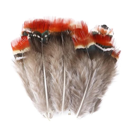 Pfauenfasan-Hühnerfedern, 3–15 cm, for Selbermachen, Basteln, Schmuck, Ohrringe, Hochzeit, Federdekoration(Black,50pcs) von Generisch