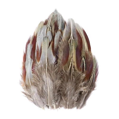 Pfauenfasan-Hühnerfedern, 3–15 cm, for Selbermachen, Basteln, Schmuck, Ohrringe, Hochzeit, Federdekoration(Champagne,100PCS) von Generisch