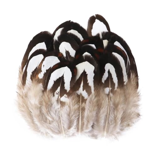 Pfauenfasan-Hühnerfedern, 3–15 cm, for Selbermachen, Basteln, Schmuck, Ohrringe, Hochzeit, Federdekoration(Deep Purple,50pcs) von Generisch