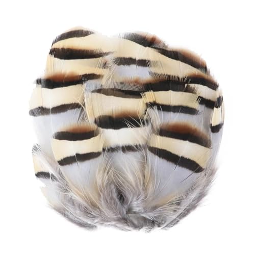 Pfauenfasan-Hühnerfedern, 3–15 cm, for Selbermachen, Basteln, Schmuck, Ohrringe, Hochzeit, Federdekoration(Golden,100PCS) von Generisch