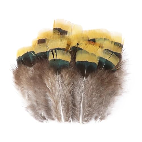 Pfauenfasan-Hühnerfedern, 3–15 cm, for Selbermachen, Basteln, Schmuck, Ohrringe, Hochzeit, Federdekoration(Green,50pcs) von Generisch