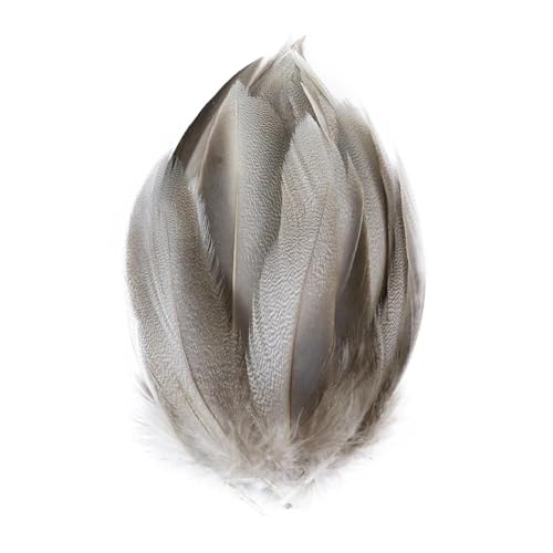 Pfauenfasan-Hühnerfedern, 3–15 cm, for Selbermachen, Basteln, Schmuck, Ohrringe, Hochzeit, Federdekoration(Light purple,50pcs) von Generisch