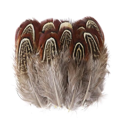 Pfauenfasan-Hühnerfedern, 3–15 cm, for Selbermachen, Basteln, Schmuck, Ohrringe, Hochzeit, Federdekoration(MINT GREEN,100PCS) von Generisch