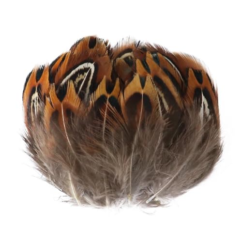 Pfauenfasan-Hühnerfedern, 3–15 cm, for Selbermachen, Basteln, Schmuck, Ohrringe, Hochzeit, Federdekoration(Orange,20PCS) von Generisch