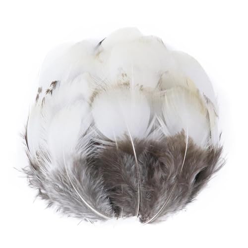 Pfauenfasan-Hühnerfedern, 3–15 cm, for Selbermachen, Basteln, Schmuck, Ohrringe, Hochzeit, Federdekoration(Pink,100PCS) von Generisch