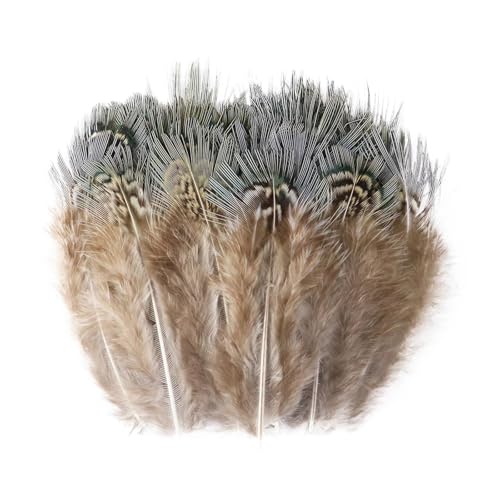 Pfauenfasan-Hühnerfedern, 3–15 cm, for Selbermachen, Basteln, Schmuck, Ohrringe, Hochzeit, Federdekoration(Silver,100PCS) von Generisch
