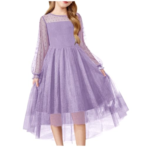 Prinzessin Kleid Mädchen Kleider Langarm Tüllkleid Ballkleid Abendkleider Ballkleider A-Linie Partykleid Kinder Kleider Tanzkleid Mode Festlichkleid Freizeitkleid Angebote Lila,140 von Generisch