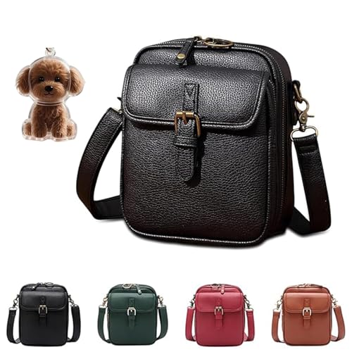 Retro Crossbody Leather Bag, 2025 Upgrade Double Layer Large Capacity Mini Messenger Bag, Anti-Theft Retro Design for Women (black) von Generisch