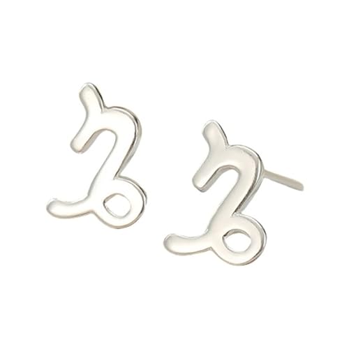 Silberne Ohrstecker mit 12 Sternbildern, Steinbock (22. Dezember – 19. Januar), Zierliche Mini Ohrstecker Aus 925Er Sterlingsilber mit Astrologie Horoskop Sternzeichen für Frauen und Teenager von Generisch