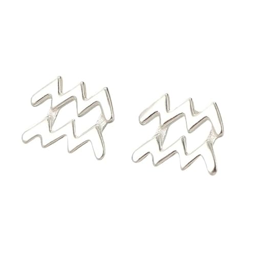 Silberne Ohrstecker mit 12 Sternbildern, Wassermann (20. Januar – 18. Februar), Zierliche Mini Ohrstecker Aus 925Er Sterlingsilber mit Astrologie Horoskop Sternzeichen für Frauen und Teenager von Generisch