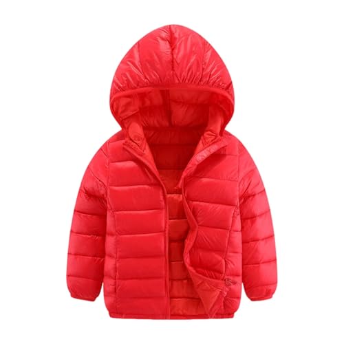 Winterjacke Jungen Mädchen Leichte Steppjacke mit Kapuze Herbst Winter Daunenjacke Verdicken Einfarbig Wintermantel Niedliche Casual Softshelljacke Puffy Jacken Reißverschluss Kinder 4-18 Jahre von Generisch