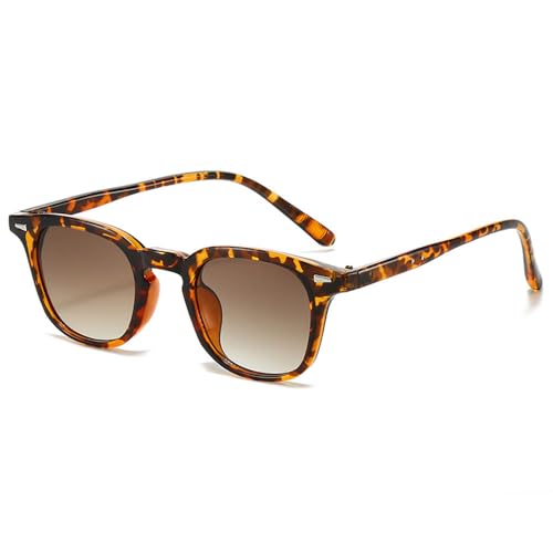 Women Gradient Sunglasses Retro Rivets Men Punk Sun Glasses(Leopard Tea Gradient) von Generisch