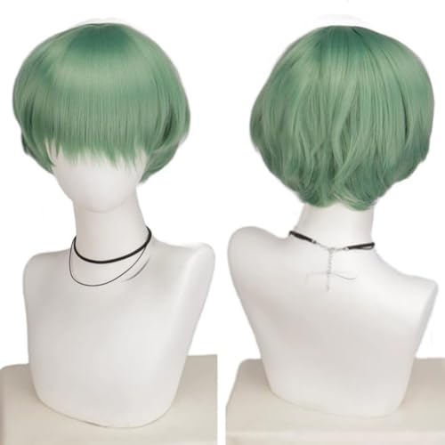 lila Perücke Cosplay Kids Anime Kostümperü für Damen und Herren, lila Zopfperücke, Halloween,for Demon Hunters Costume Rumi Perücke Cosplay Kids von Generisch