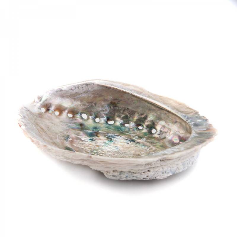 Incence Tray Pearl Shell von Gents