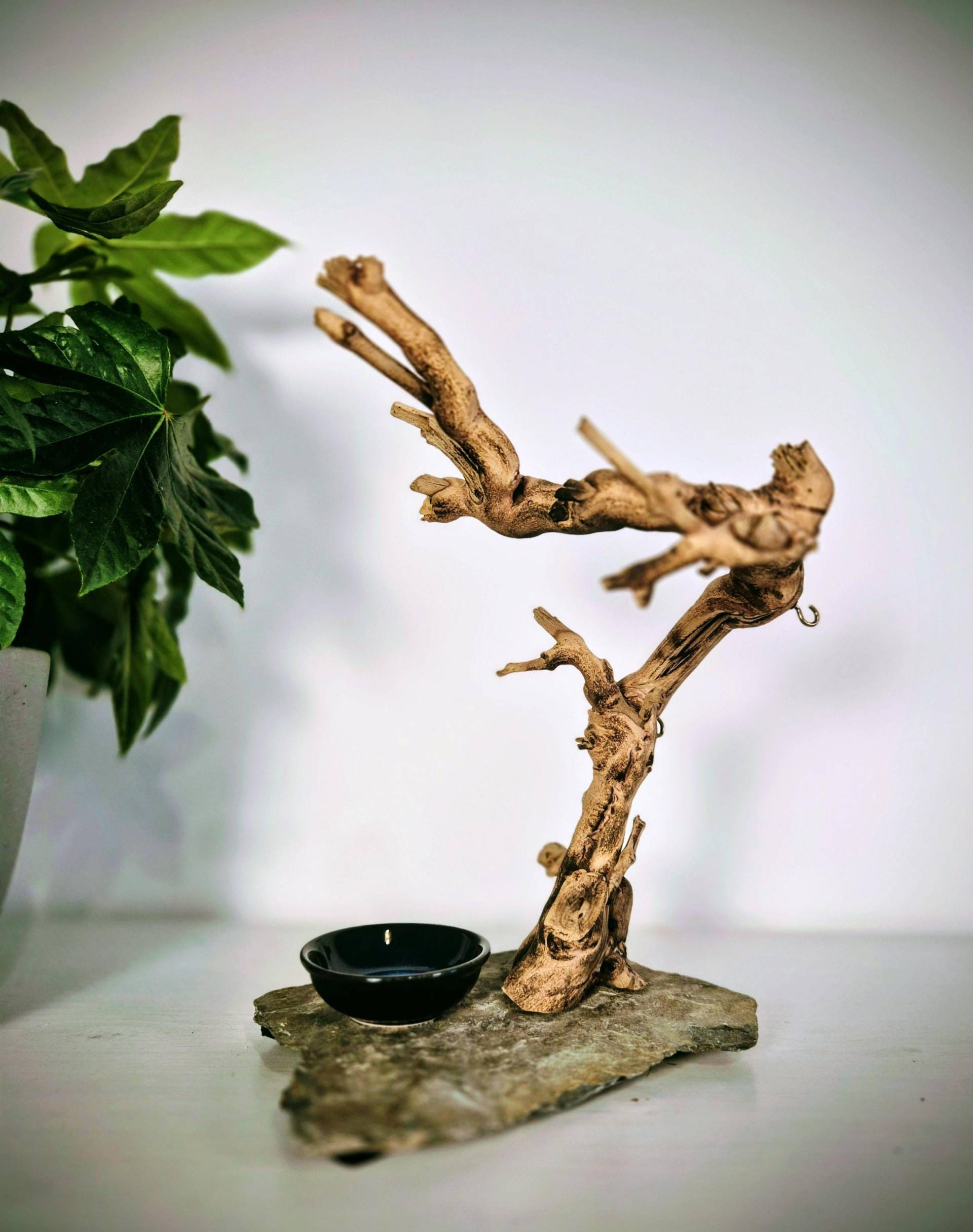Schmuckbaum, Geschenk, Deko, Holz, Schmuck, Wurzel, Halterung, Schmuckständer Schmuckbaum, Geschenk, Deko, Holz, Schmuck, Wurzel, Halterung, Schmuckständer von GenussWurzelD3sign