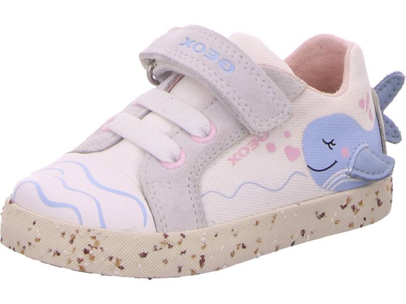 Geox B KILWI G. C Lauflernschuh echtes Leder von Geox