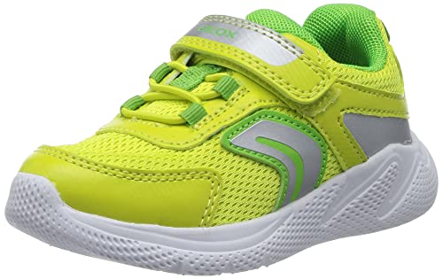 Geox Baby-Jungen B SPRINTYE Boy Sneaker, Lime/Silver, 20 EU Geox Baby-Jungen B SPRINTYE Boy Sneaker, Lime/Silver, 20 EU von Geox