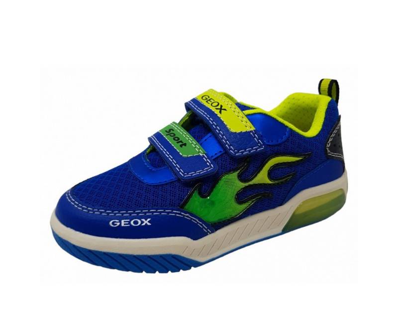 Geox Blinker Schnürschuh von Geox