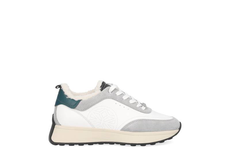 Geox GEOX AMABEL, Warmfutter, Schnürschuhe, Weiß,kombiniert, Damen Schnürschuh von Geox