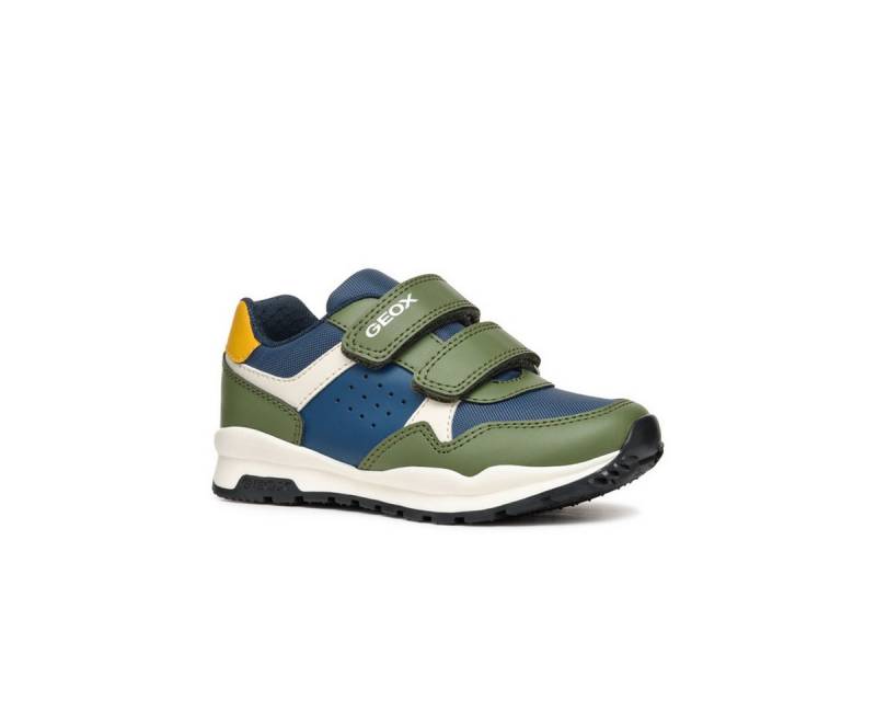 Geox GEOX PAVEL, Klett in Grün kombiniert für Kinder Klettschuh von Geox