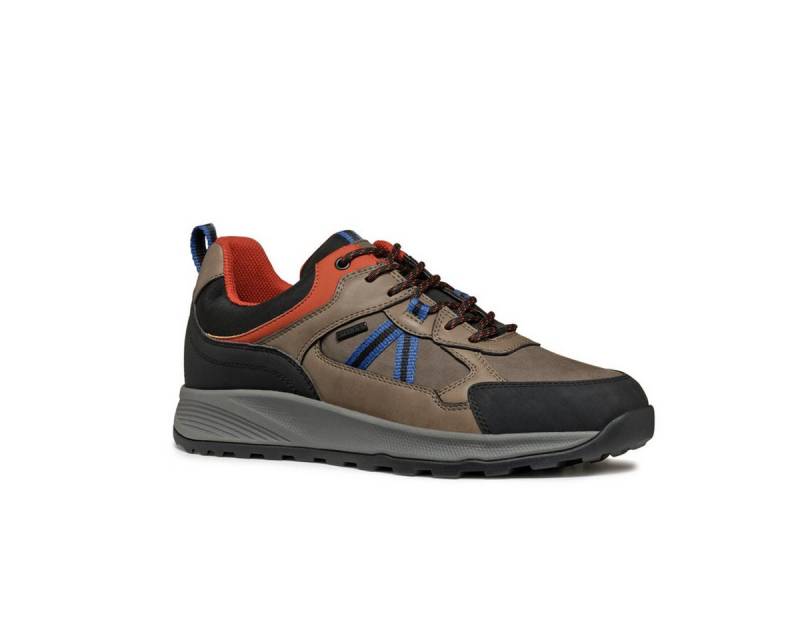 Geox GEOX TERRESTRE, Sneaker in Braun kombiniert für Herren Sneaker von Geox