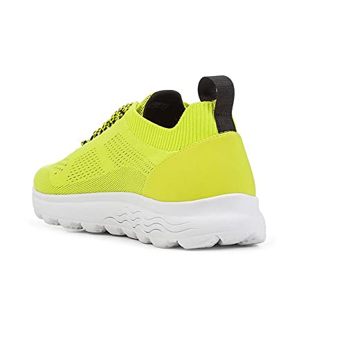 Geox U Spherica A, Sneakers Homme, Grün, 40 EU von Geox