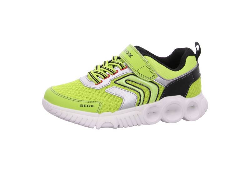 Geox J Wroom B.B. Klettschuh von Geox